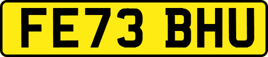 FE73BHU