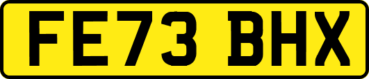 FE73BHX
