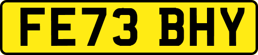 FE73BHY