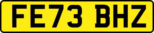 FE73BHZ