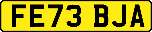 FE73BJA