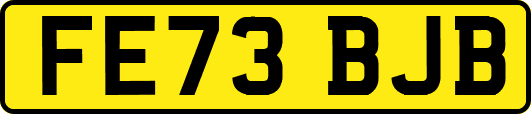 FE73BJB