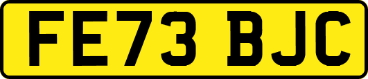 FE73BJC