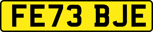 FE73BJE