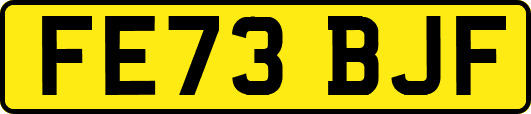 FE73BJF