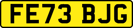 FE73BJG