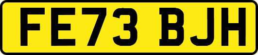 FE73BJH