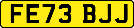 FE73BJJ