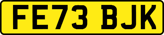 FE73BJK