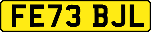 FE73BJL