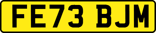 FE73BJM