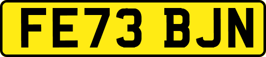 FE73BJN