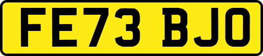 FE73BJO
