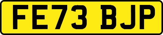 FE73BJP
