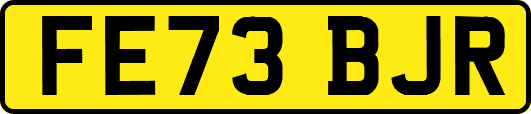 FE73BJR