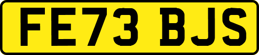 FE73BJS