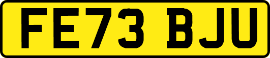 FE73BJU