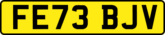 FE73BJV
