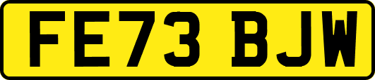 FE73BJW