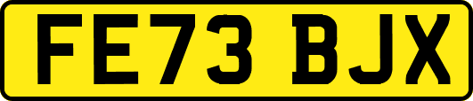 FE73BJX