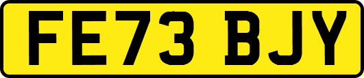 FE73BJY