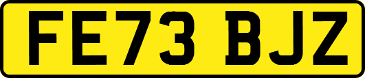 FE73BJZ