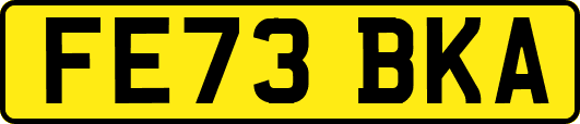 FE73BKA