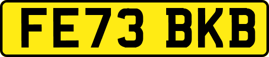 FE73BKB