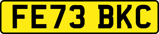 FE73BKC