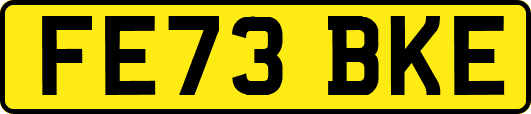 FE73BKE