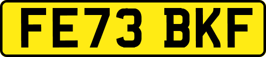 FE73BKF