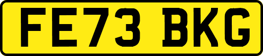 FE73BKG