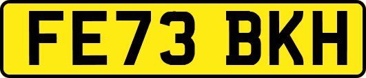 FE73BKH