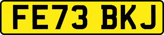 FE73BKJ