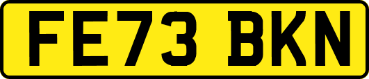 FE73BKN