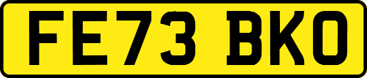 FE73BKO