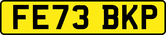 FE73BKP