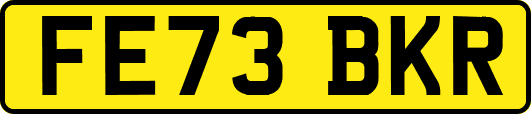 FE73BKR