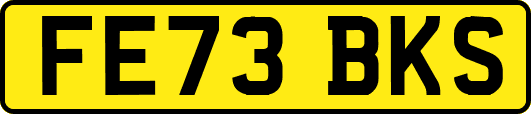 FE73BKS