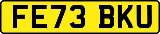 FE73BKU