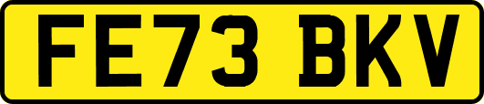 FE73BKV