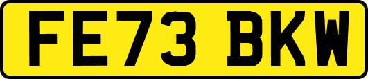 FE73BKW