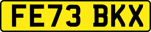 FE73BKX