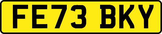 FE73BKY
