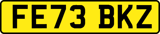 FE73BKZ