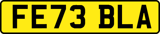 FE73BLA