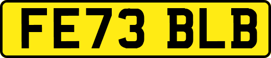 FE73BLB
