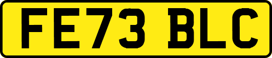 FE73BLC