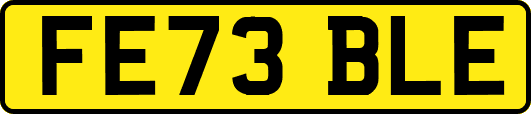 FE73BLE