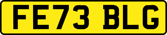 FE73BLG